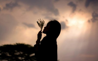 🌌 Le yoga comme chemin spirituel : au-delà des postures